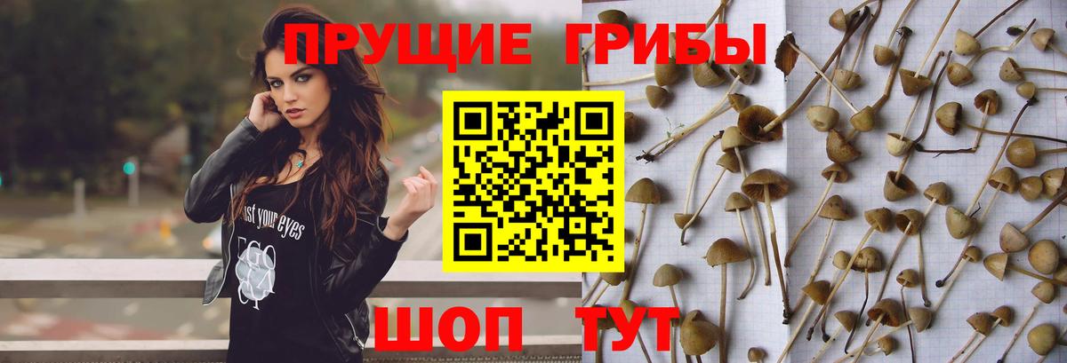 Псилоцибиновые грибы Magic Shrooms  Галлюциногенные грибы прущие грибы  Вход с VPN  Архангельск 