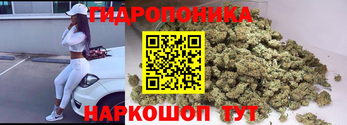 Бошки марихуана сатива  Бошки Шишки семена  Вход с VPN  Архангельск  МАРИХУАНА планчик 